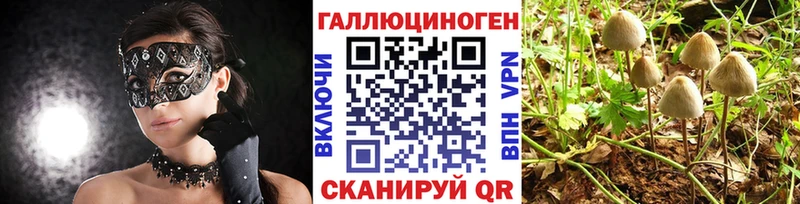 Псилоцибиновые грибы прущие грибы  ссылка на мегу рабочий сайт  Нерюнгри 