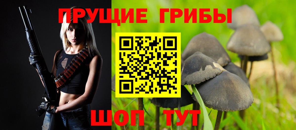 Псилоцибиновые грибы Psilocybine cubensis Нерюнгри