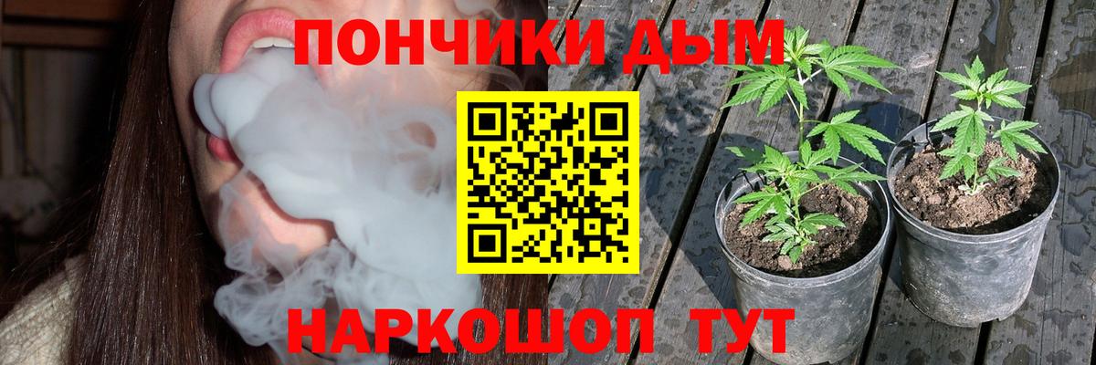 Каннабис сатива  Вход с VPN  Нерюнгри  Бошки марихуана Amnesia  МАРИХУАНА тримм  Марихуана сатива 